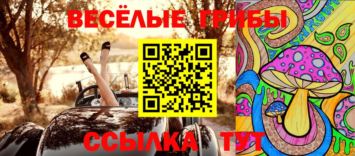 Жигулёвск  Псилоцибиновые грибы прущие грибы  Вход с VPN 