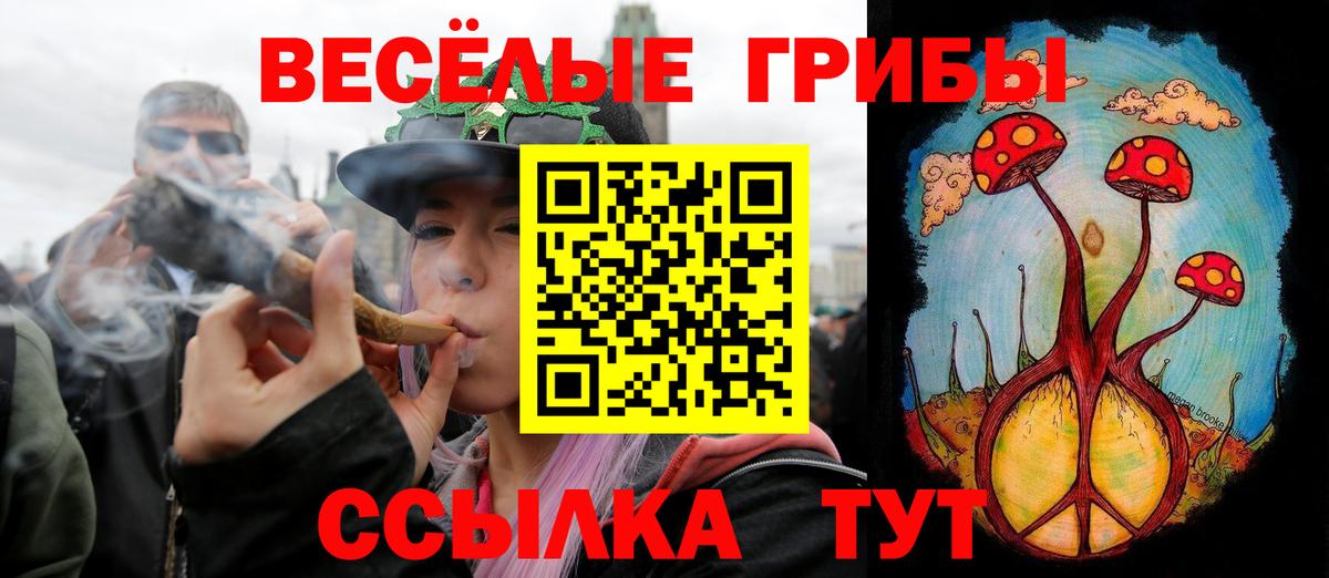 Галлюциногенные грибы Psilocybine cubensis Жигулёвск